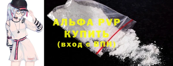 сатива Новодвинск