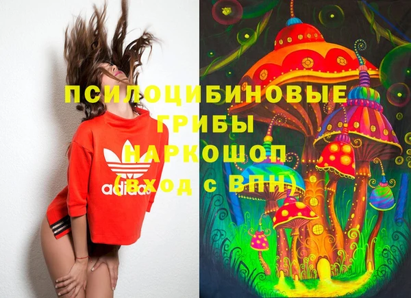 сатива Новодвинск