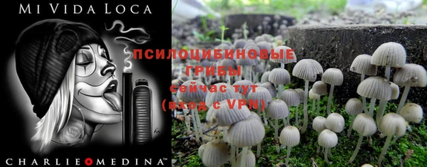 ECSTASY Новокубанск